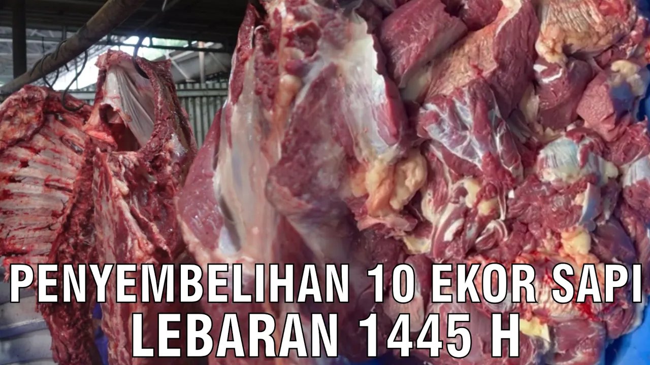 
                                 Penyembelihan-10-Sapi-Idul-Fitri-1445-H